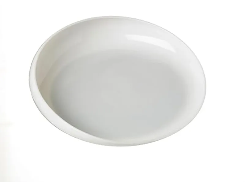 Sammons Preston Ivory Round Scoop Dish, Unbreakable 8" Scooper Bowl for Elderly, Disabled, & Handicapped, Plate with Non Skid Rubber Padded Bottom for Independent Eating, Self-Feeding Aid - Easy Dining Solution - Main Image